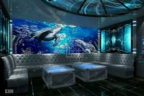 遵义小时场ktv怎么玩攻略-正安县ktv预定